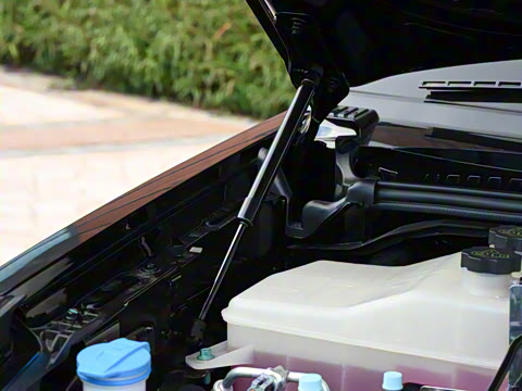 2025�� ������