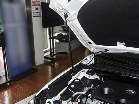 2026�� ˫�� 2.0HS �˶���