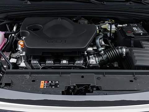 2026�� 1.5L �����