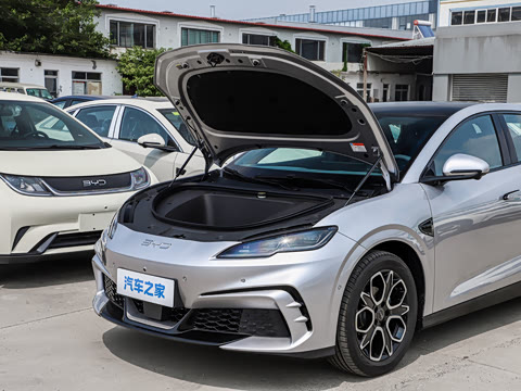 2026�� 520����Plus��