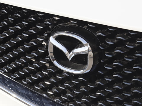 2025�� 2.0L �Զ�������