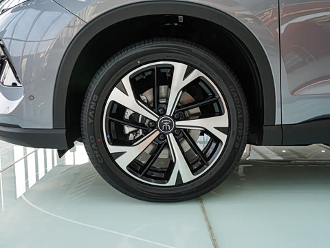 2026�� DM-i 220KM׿Խ��