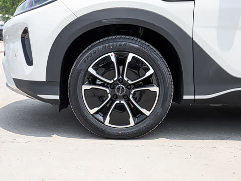 2026�� DM-i 220�캽��