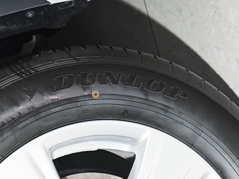 2026�� 2.5L���ܵ��˫��������Ӣ�� 7��