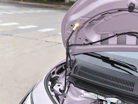 2026�� ��׼��