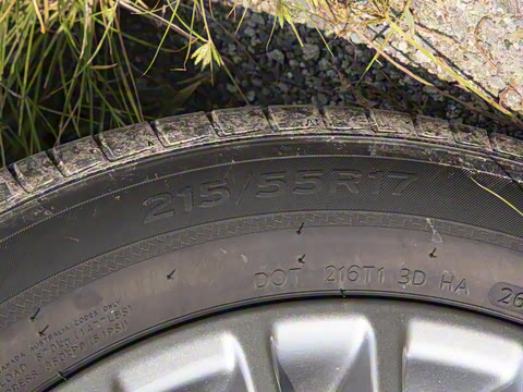 2026�� 2.0GVP ������