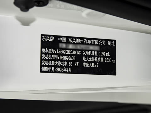 2025�� 2.0L �ֶ���Ӣ��CNG 7��