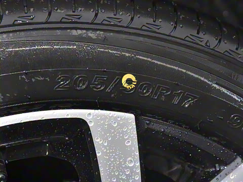 2026�� 530 ��Ȥ��