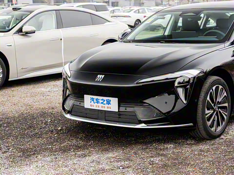 2025�� ������