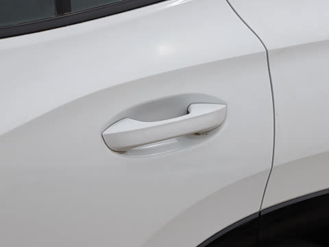 2026�� �Ŀ� ̽��L 300TSI ������Ӣ