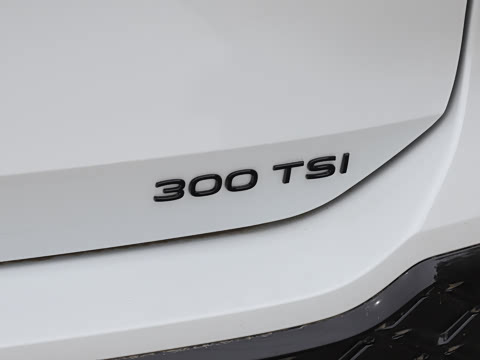 2026�� �Ŀ� ̽��L 300TSI ������Ӣ