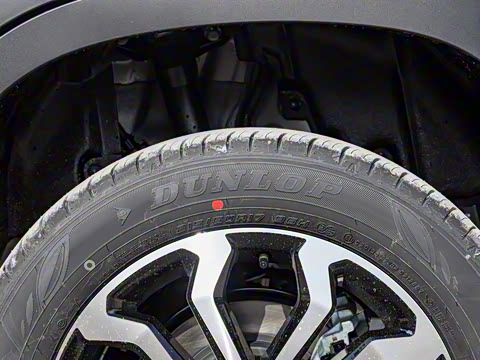 2026�� 2.0L ���ܵ��˫�� ������