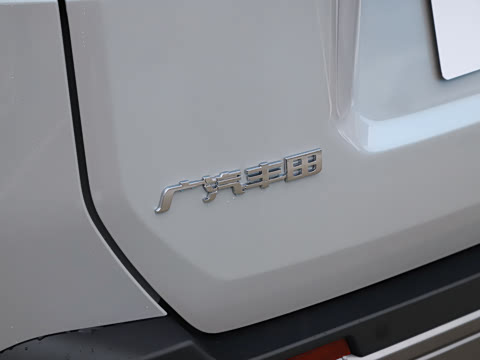 2026�� 2.0L ���ܵ��˫�� PRO