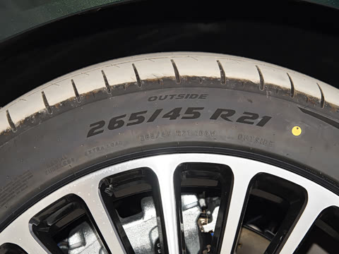 2025�� ���� Max+ ������������ 