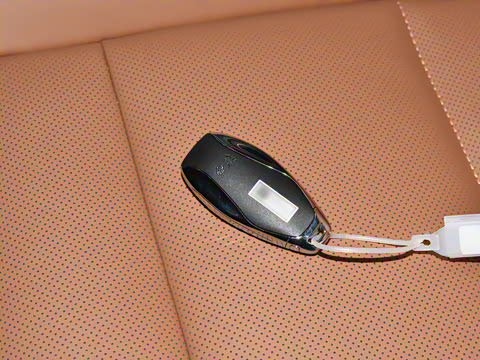 2025�� 2.0T PHEV ���������� 6��