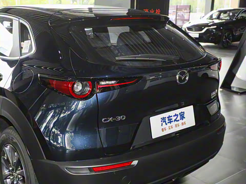 2025�� 2.0L �ֶ�������