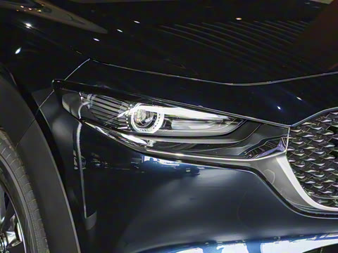 2025�� 2.0L �ֶ�������