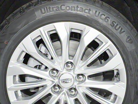 2024�� �Ŀ� 25T ����������