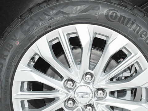 2024�� �Ŀ� 25T ����������