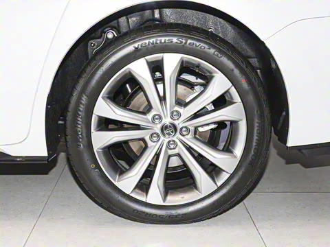 2026�� 2.5L ˫��������������