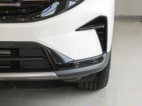 2026�� ���L 2.0T EcoBoost ��������������