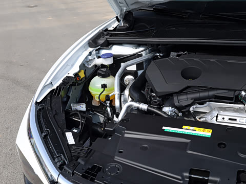 2026�� 1.6T Ԧ����