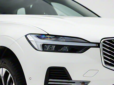 2026�� ���ʽ�춯 �������������ź�����