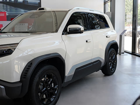 2026�� 620KM ���������
