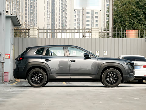 2026�� 2.0L ���а�