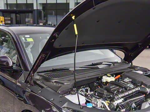 2026�� DM-i 128KM������