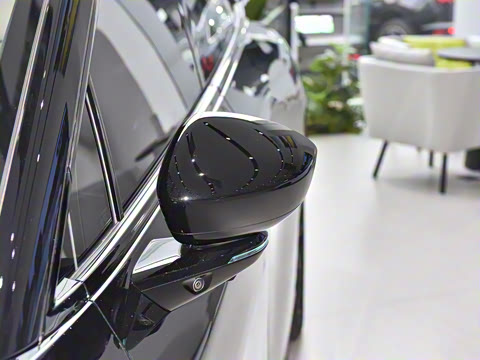 2025�� �������� Max �콢��