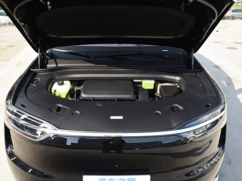 2026�� ���� Max�������� 5��