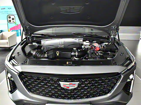 2023�� 25T ������