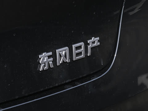 2026�� 625 Max ����ʿ