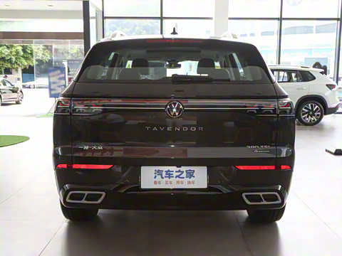 2025�� 380TSI ����R-LineѲ�� ������