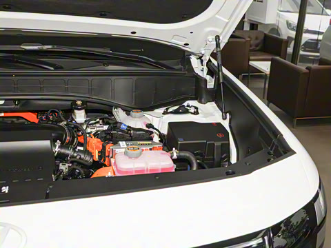 2026�� 2.5T Calligraphy ���ͼ� 6��