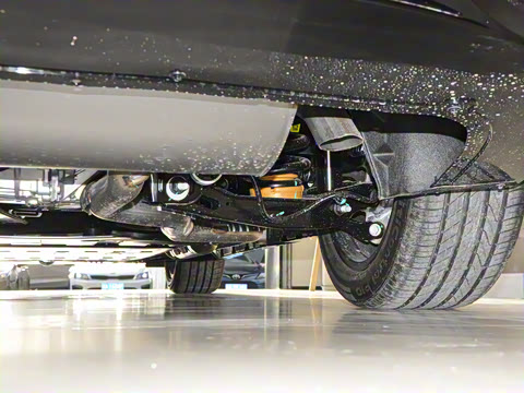 2025�� ������