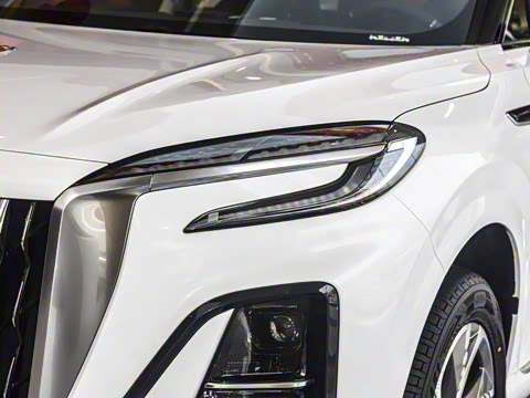 2024�� 115km ��Ϊ��