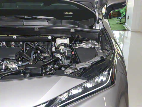 2024�� 2.5L���ܵ��˫�� ����������