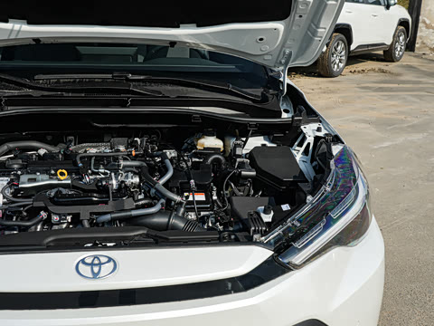 2026�� 2.0L ���ܵ��˫�� ������