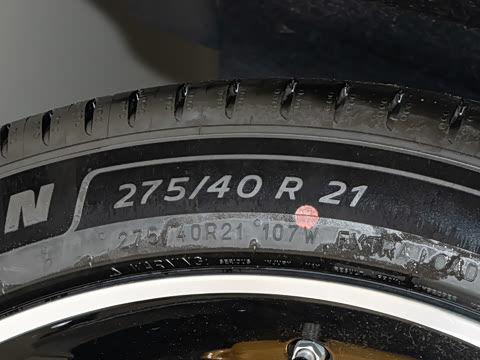 2025�� ������������Pro��