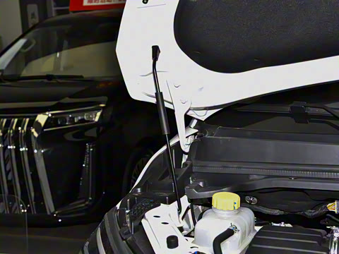 2026�� CNG �м�Ӫ�� 7��