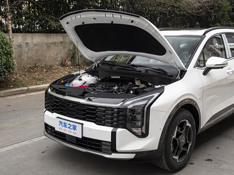 2026�� ����������