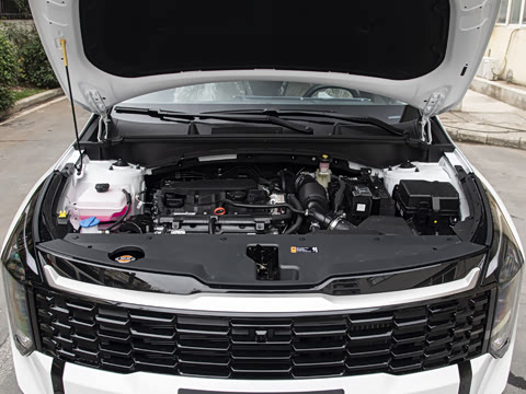 2026�� ����������