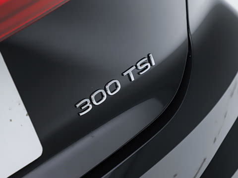 2026�� S 300TSI ������