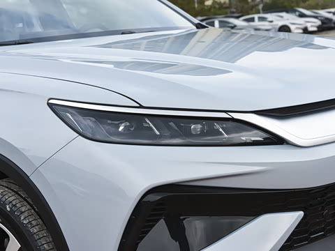 2026�� DM-i 220KM��Խ��