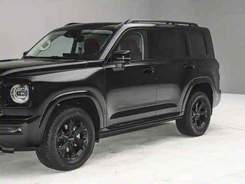 2025�� 2.0T ����������ʿ��