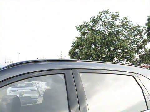 2025�� 510km �캽��