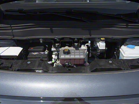 2025�� 600������