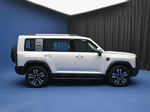 2026�� 255km ������